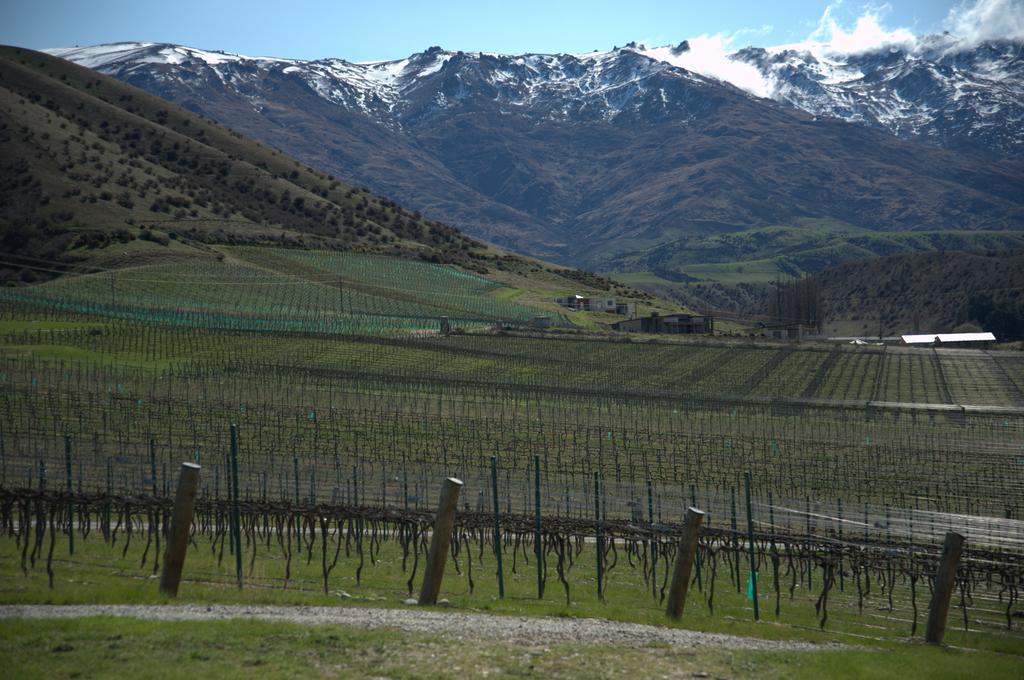 Mt Michael Lodge Cromwell Bagian luar foto